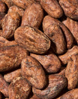 Fèves de cacao crues